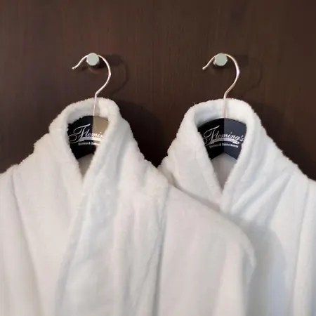 Flemings Muenchen-city 4* Münih
